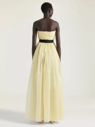 Bustier Evening Dress in Organza