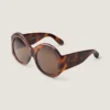 Cocoon Sunglasses in Acetate Cocoon Sunglasses in Acetate
